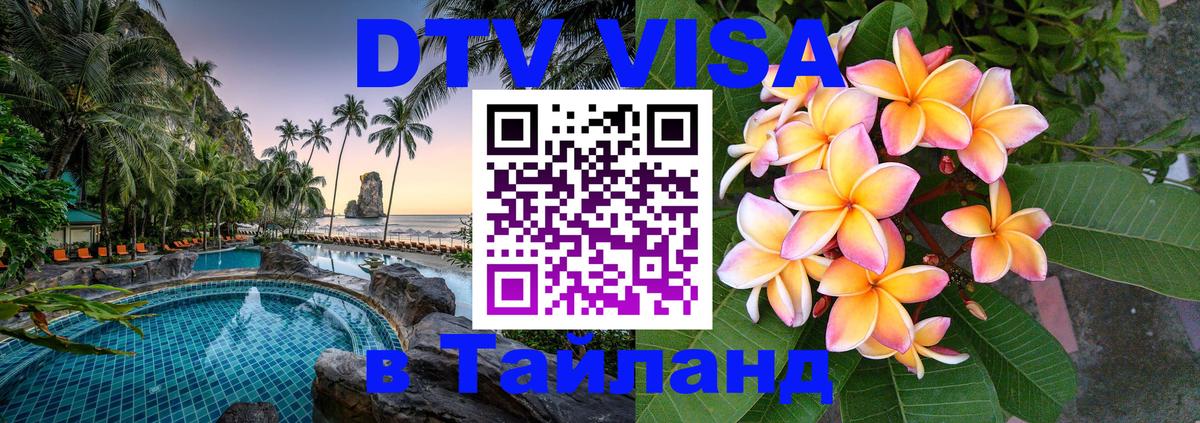 Оформление DTV визы под ключ: стоимость и тарифы, только загранпаспорт - Калининград  20.11.2025 